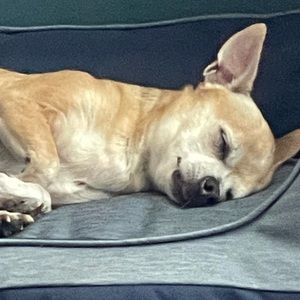 Meet your Posher, Marlene